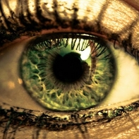 Into this Eye