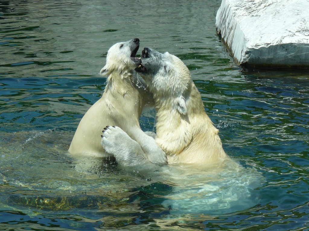Wilbär und Corinna