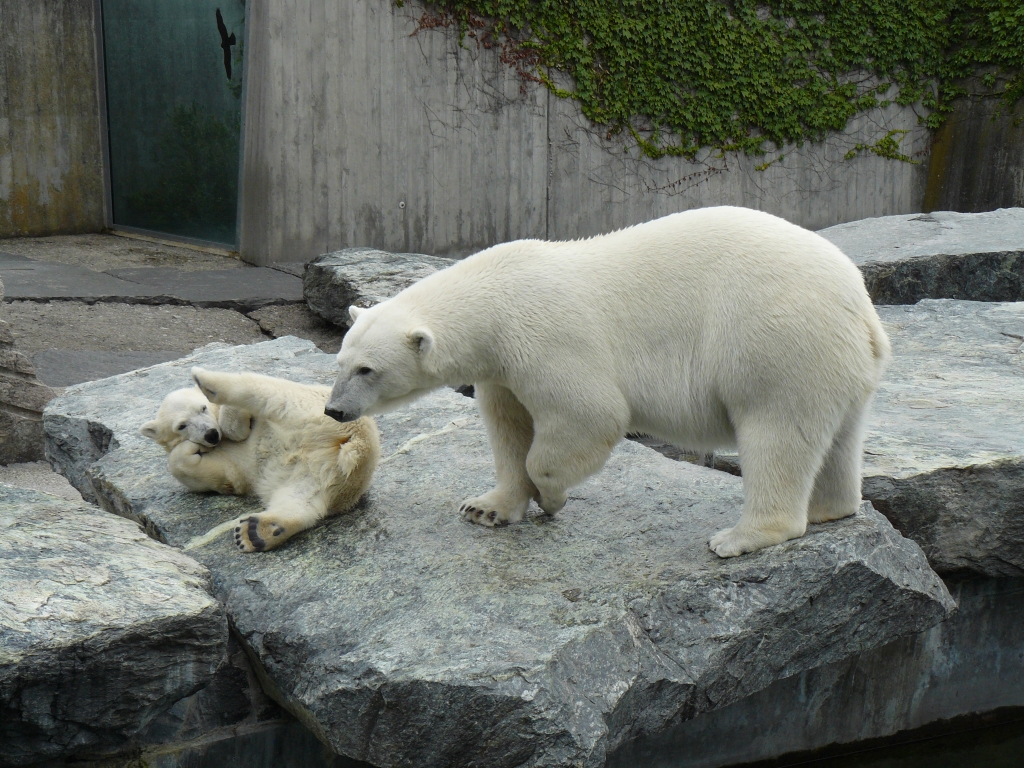 Wilbär und Corinna
