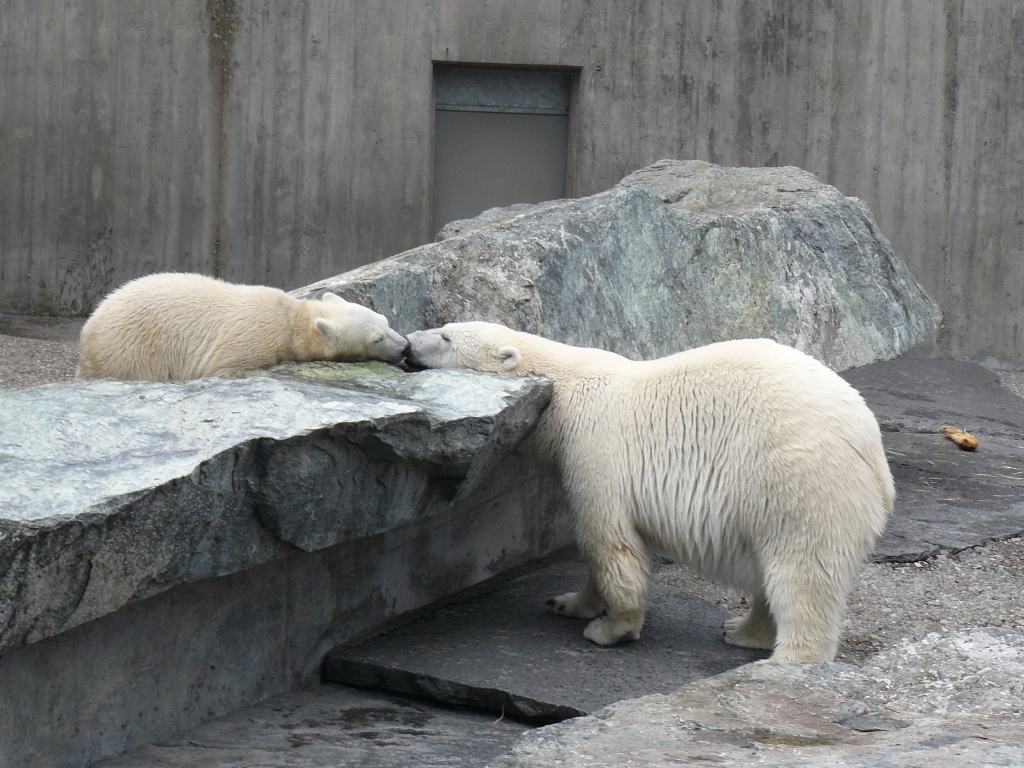 Wilbär und Corinna beim Bärenkuss