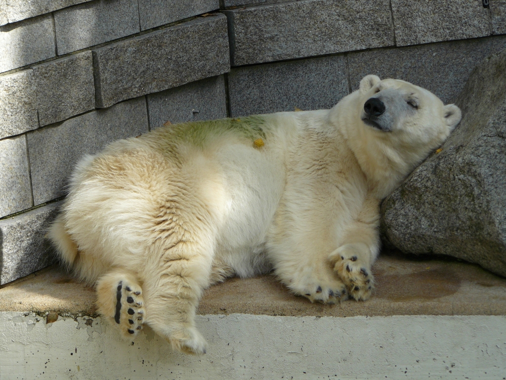 Jerka im Zoo Wuppertal